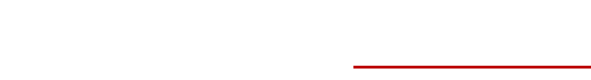 Máster Tecnologías de la Información