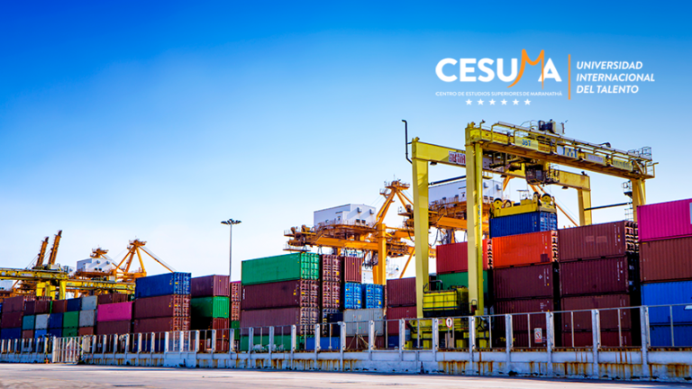 Actividades-logísticas