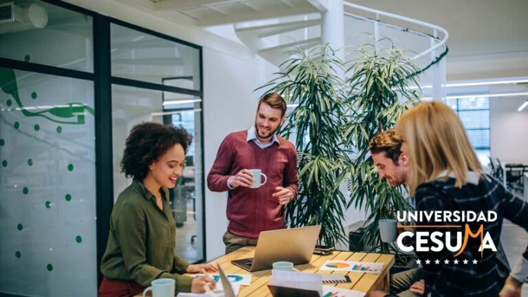 Organización del presupuesto en una empresa