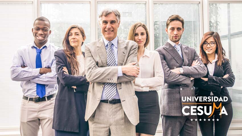 Principios y funciones de la gestión