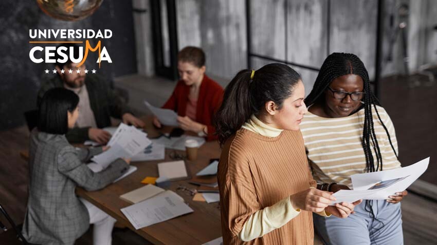 Salidas profesionales de Administración de Empresas Salidas profesionales de Administración de Empresas