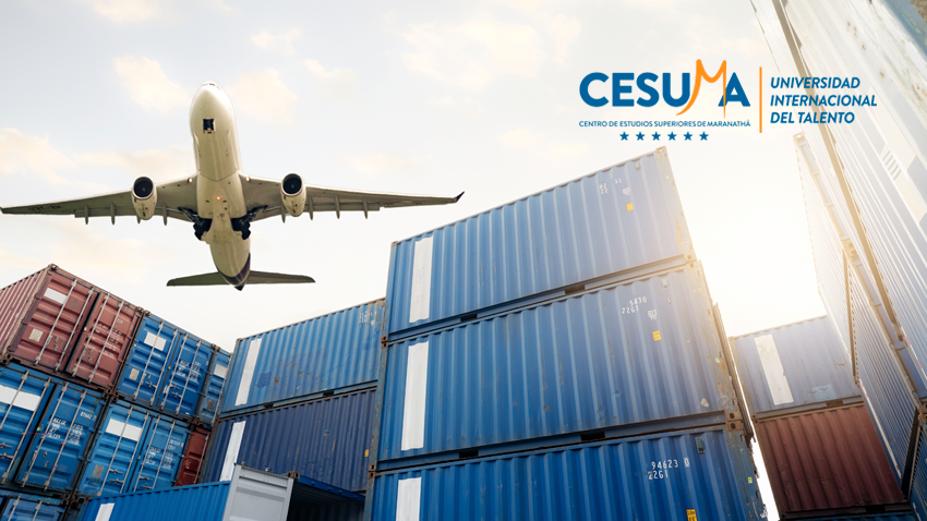 Transporte-y-Distribucin-Internacional