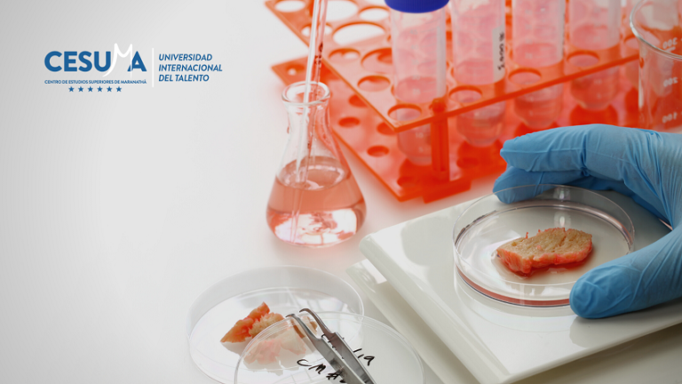 ¿Cómo se realiza un análisis microbiológico de productos alimenticios?