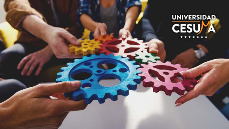 Cules-son-los-componentes-de-la-estructura-de-una-empresa