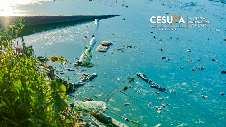 Efectos de la contaminación de las aguas