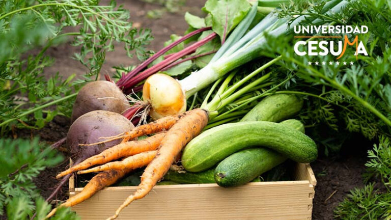 Impacto ambiental de la industria alimentaria