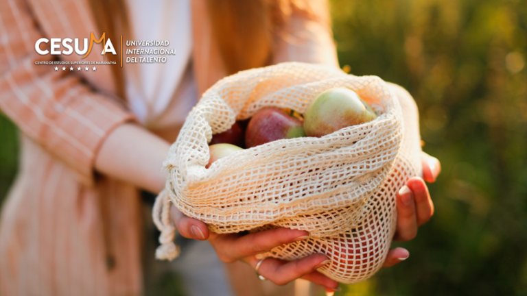 Importancia de la producción y consumo responsables