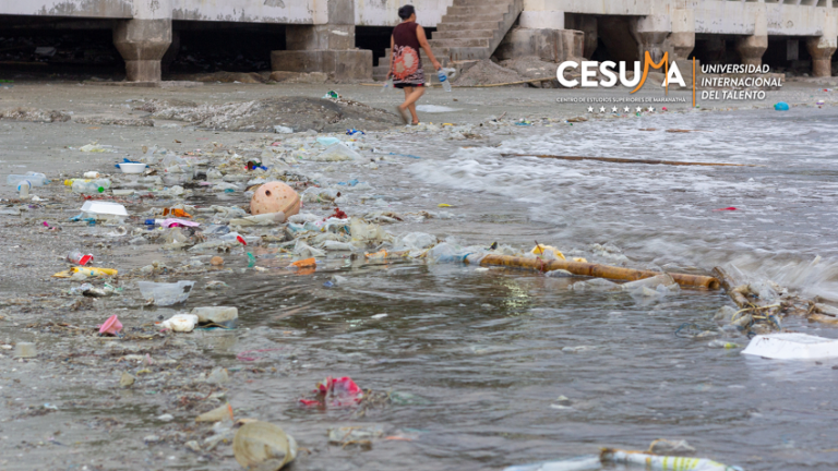 Principales causas de la contaminación medioambiental