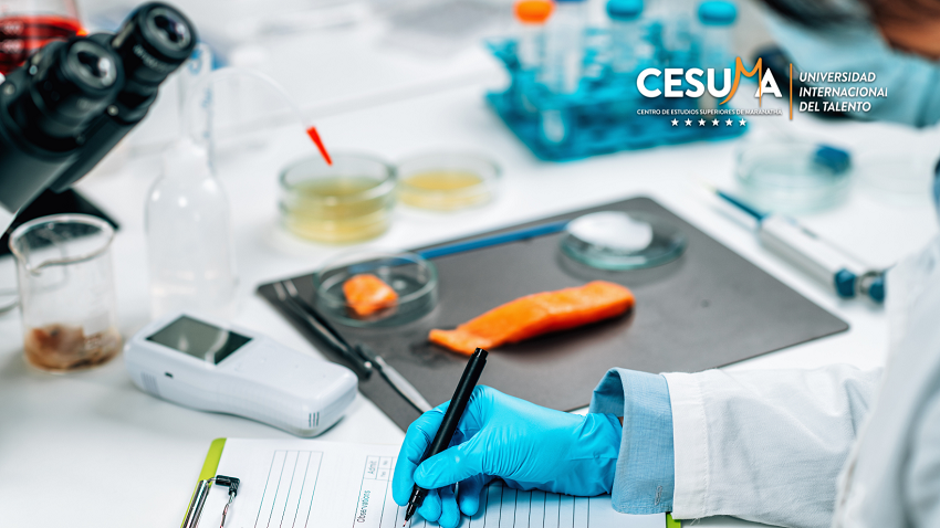 Procesos de gestión de la calidad Procesos de gestión de la calidad