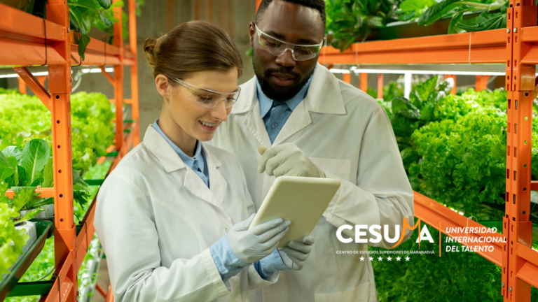 Profesiones vinculadas al desarrollo sostenible