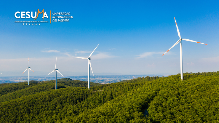 ¿Qué es la energía eólica?