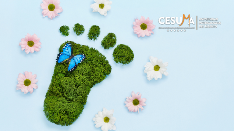 Todo lo que debes saber de la huella de carbono