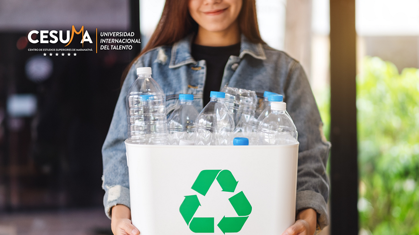 ¿En qué consiste el sistema de gestión medioambiental?