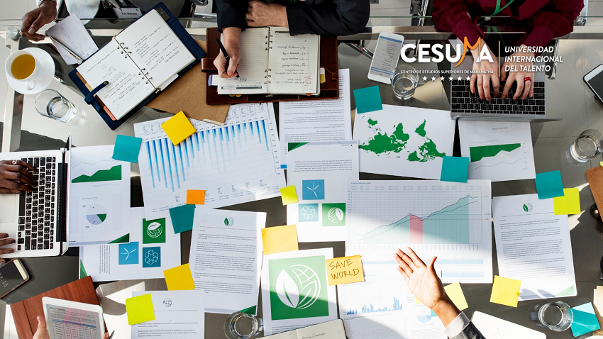 La gestión medioambiental en la empresa