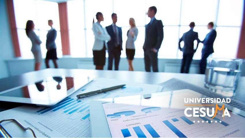 estructura organizativa