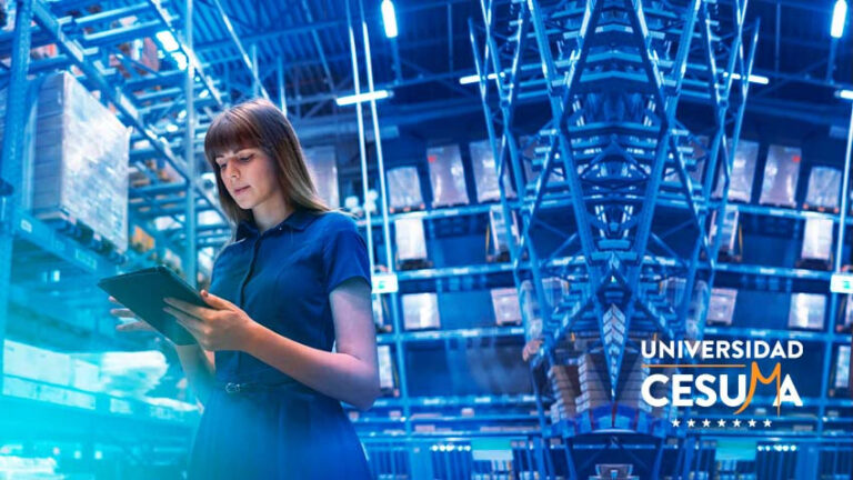 mujer-gestionando-el-flujo-de-mercancas