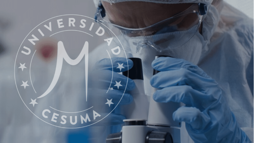 Todo lo que deberías saber sobre Biotecnología