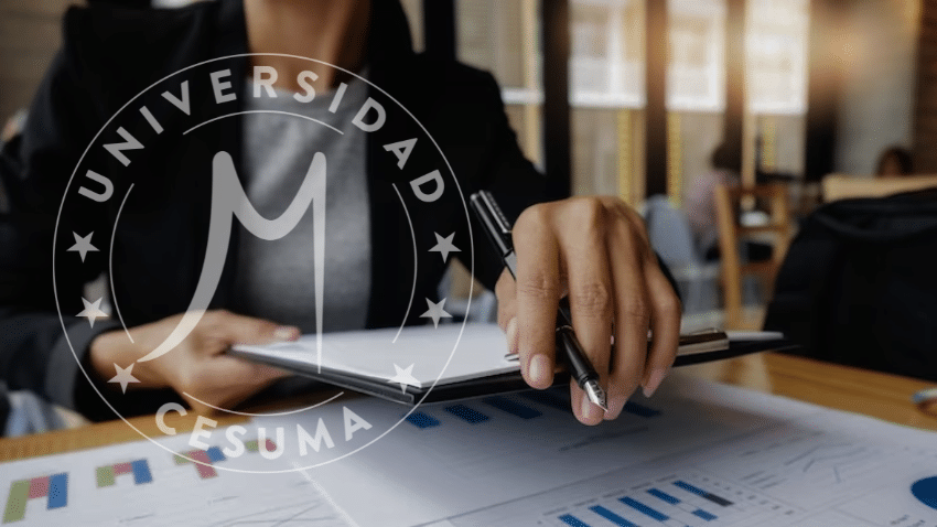 Estructura de los estados financieros de la empresa Estructura de los estados financieros de la empresa