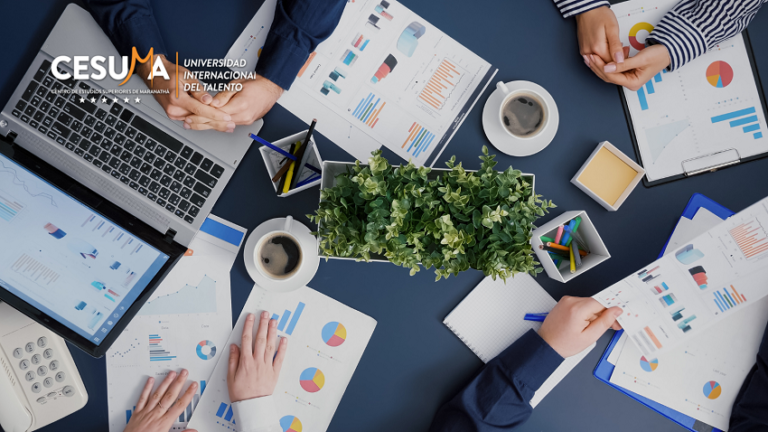 Características-principales-y-esencia-de-la-inversión-real