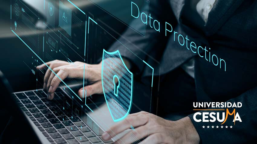 Profesiones-vinculadas-a-Maestra-en-Cumplimiento-Normativo-y-Protección-de-Datos