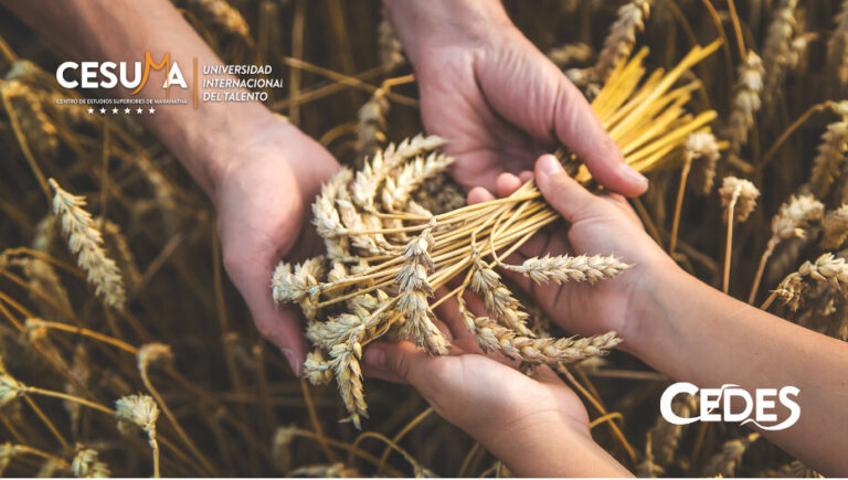 manos-acogiendo-trigo