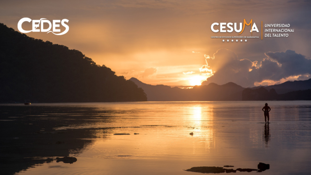 persona-disfrutando-del-mar-y-atardecer persona-disfrutando-del-mar-y-atardecer