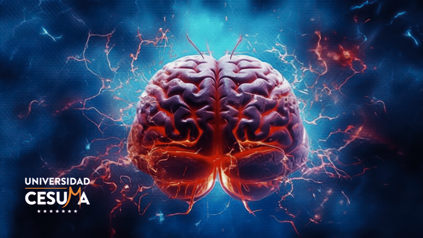 Eficacia de la Neuropsicología en el tratamiento de la apraxia