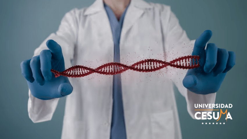 Descubre los secretos de la Genética de la conducta