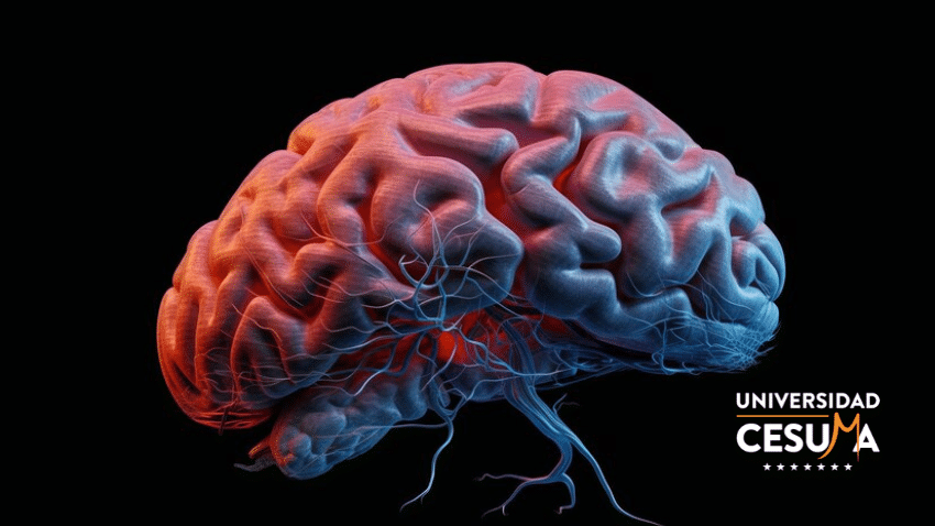 Descubre las claves de la Epilepsia en Neuropsicología Descubre las claves de la Epilepsia en Neuropsicología