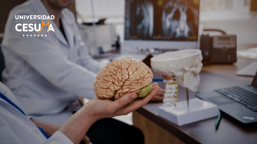 Develando los secretos de la Neuropsicología forense