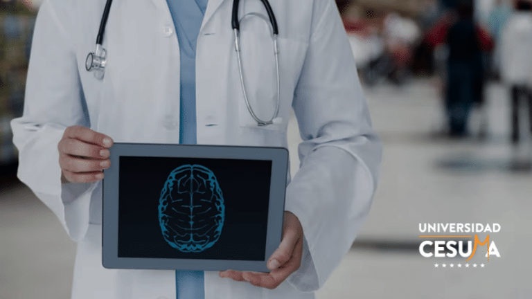 Descubre la interacción del Sistema Nervioso Central y la Neuropsicología