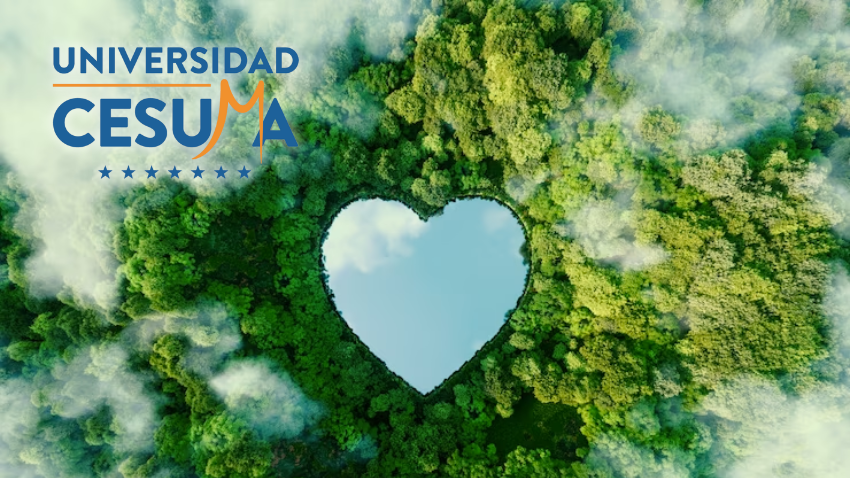 10 Acciones para Reducir la Huella en el Ecosistema⁣