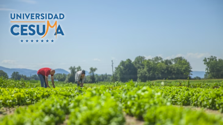 Agricultura sostenible y las innovaciones tecnológicas