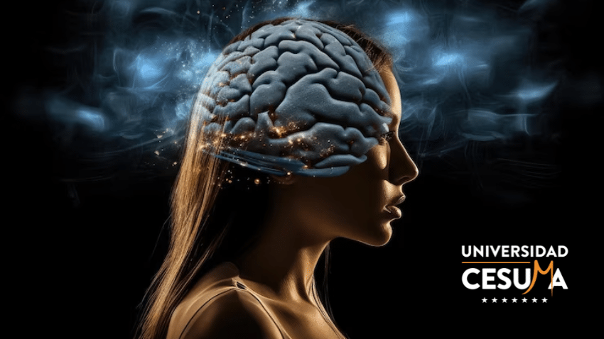 El fascinante mundo de la cognición en Neuropsicología El fascinante mundo de la cognición en Neuropsicología