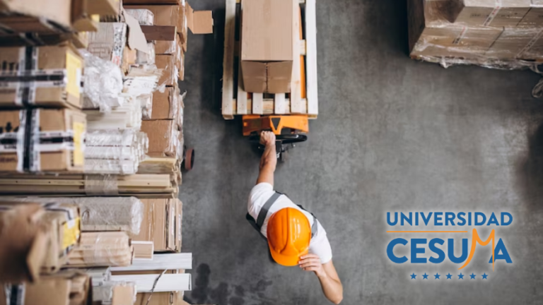 El papel de la logística en el comercio electrónico⁣