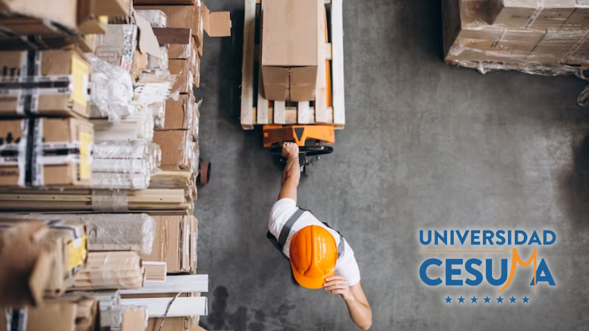 El papel de la logística en el comercio electrónico⁣