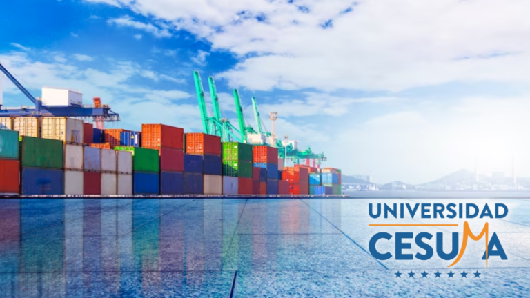 La importancia de la sostenibilidad en la logística moderna⁣