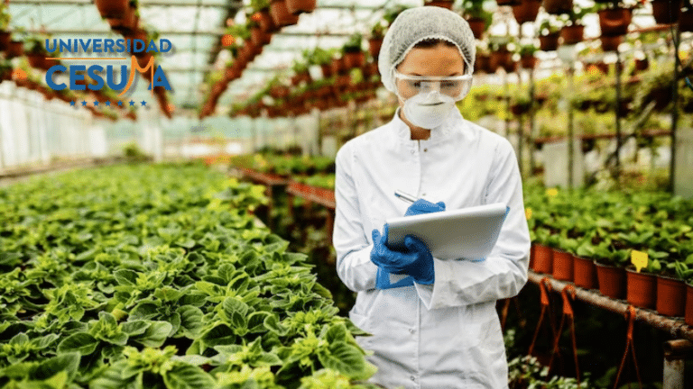 ¿Cómo minimizar los riesgos de contaminación alimentaria en restaurantes? ⁣