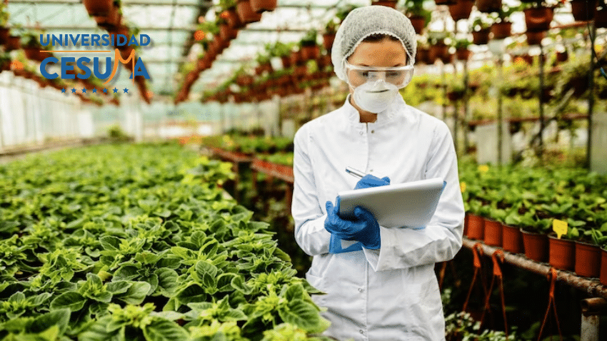 ¿Cómo minimizar los riesgos de contaminación alimentaria en restaurantes?  ¿Cómo minimizar los riesgos de contaminación alimentaria en restaurantes? 