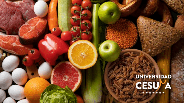 Los peligros de los alimentos procesados y cómo afectan nuestra salud⁣