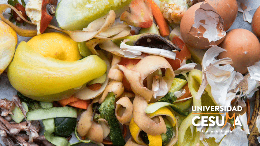 ¿Cómo reducir el desperdicio de alimentos y contribuir a la seguridad alimentaria global? ¿Cómo reducir el desperdicio de alimentos y contribuir a la seguridad alimentaria global?