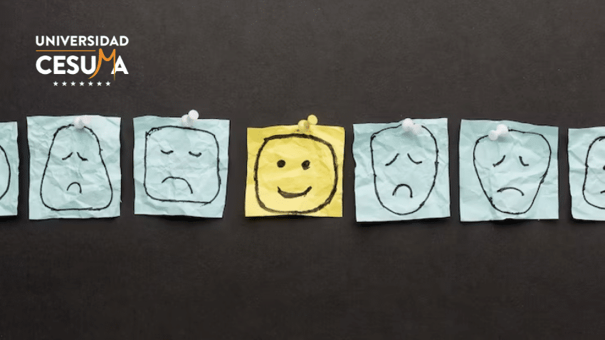 Desarrolla tu inteligencia emocional con Programación Neurolingüística