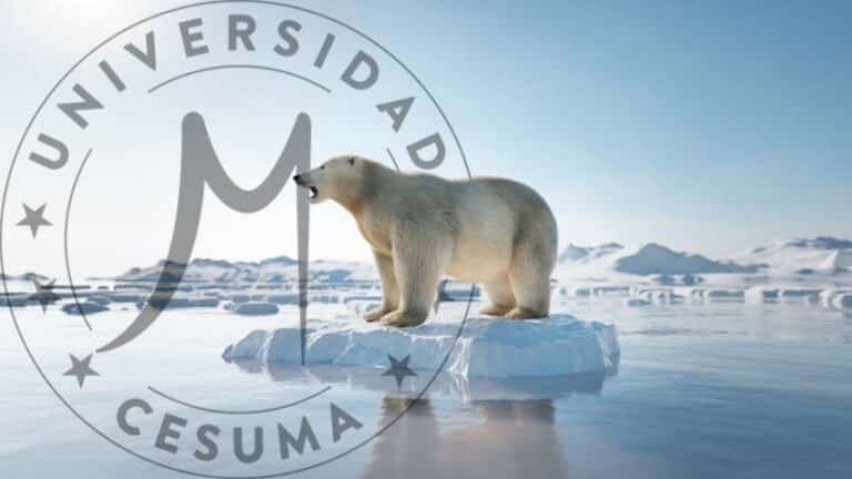 oso polar en un témpano de hielo