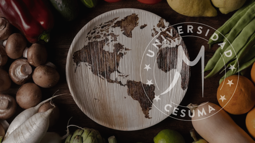 Seguridad Alimentaria y Cambio Climático: Desafíos y Soluciones Cruciales⁣