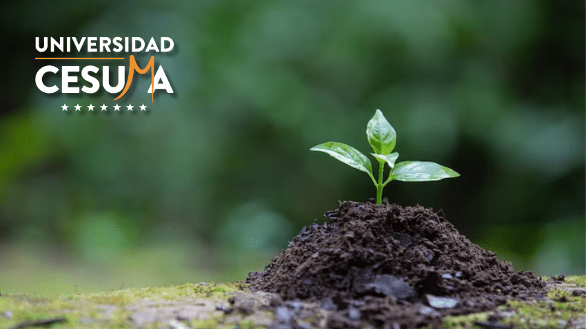 Preservación de la Naturaleza y sus Múltiples Beneficios  Preservación de la Naturaleza y sus Múltiples Beneficios 