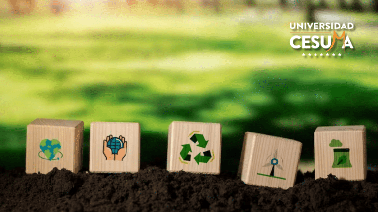 Los impactos del Cambio Climático en el Medioambiente ⁣