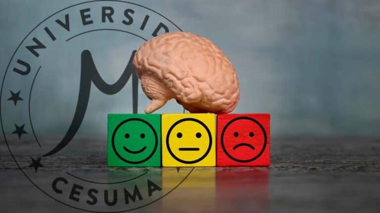 cerebro sobre cubos de emociones