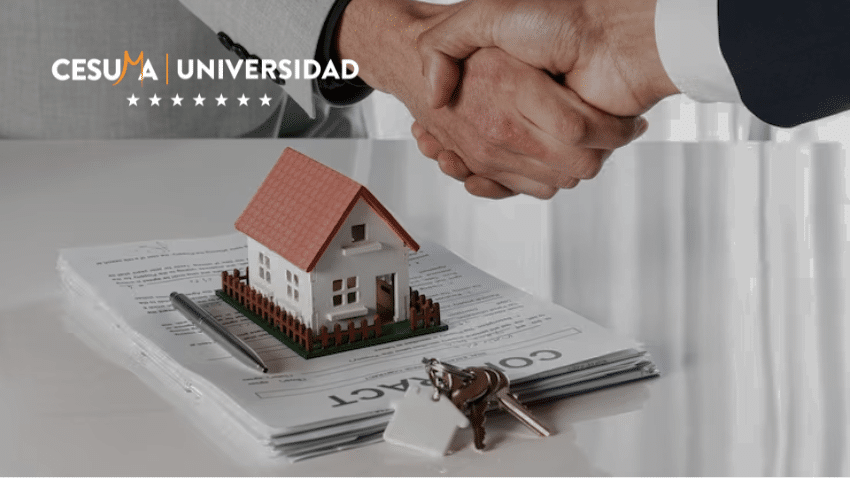 ¿Es una buena idea invertir en bienes raíces o en acciones?⁣