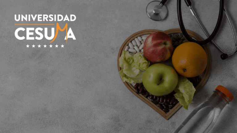  La historia de la nutrición: de los primeros conocimientos a las últimas investigaciones⁣