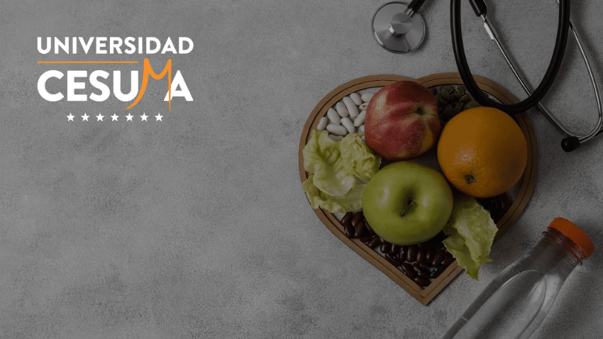  La historia de la nutrición: de los primeros conocimientos a las últimas investigaciones⁣